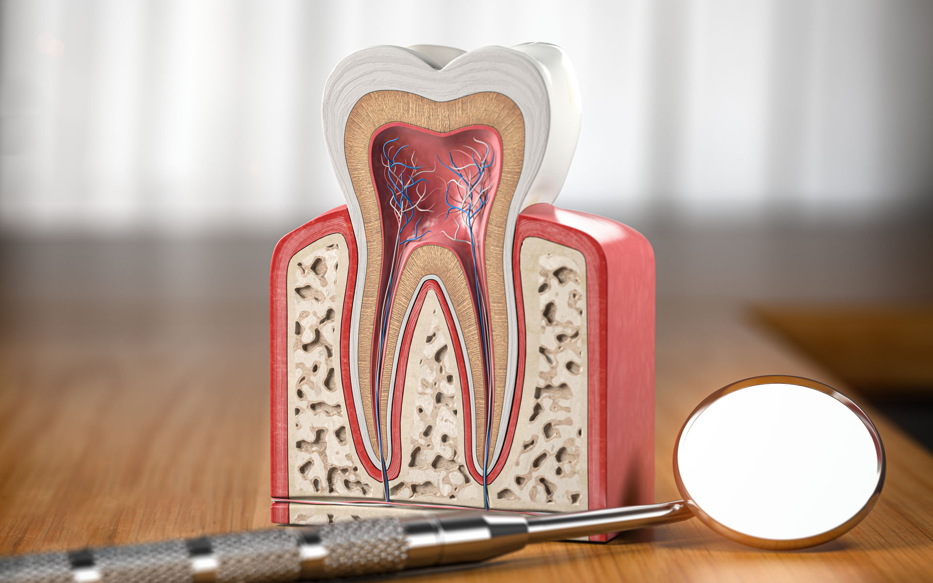 https://shifadentalclinic.in/wp-content/uploads/2022/10/root-canal-treatment.jpg
